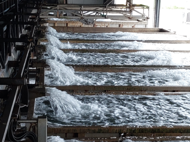 UV filter systeem bij een mosselverwerkingsfabriek